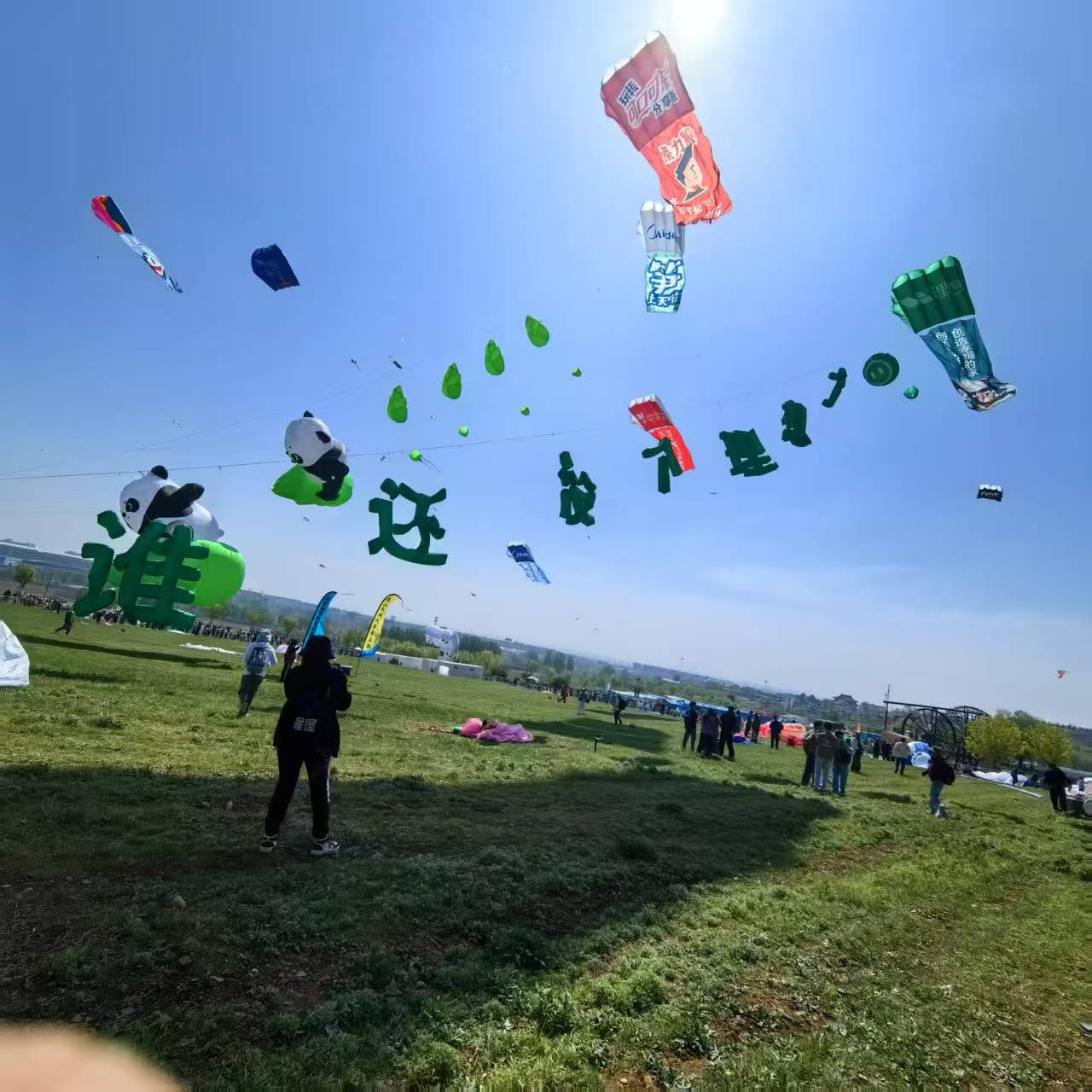 海东市风筝商业放飞风筝定制 - 厂家